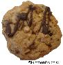 Aprikosen-Schoko-Cookies 2